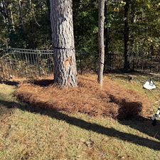 Pine-Straw-Installation-Oxford-MS 16